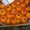 Продаем цитрусы из Испании - Изображение #1, Объявление #1363610