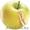 Саженцы яблони оптом - Изображение #3, Объявление #1357471
