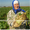 Семена кормовой свеклы сорт ЛАДА - корнеплоды до 25 кг! - Изображение #1, Объявление #1376028
