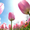 Тюльпаны к 8 марта оптом - Изображение #2, Объявление #1378841