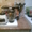 стационарный блендер-кофемолка - Изображение #1, Объявление #1399018