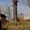 Спил деревьев в Алматы и Алматинской области!!! (НЕ ДОРОГО!!!) - Изображение #3, Объявление #1360479