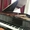Настройка рояля,пианино,предосмотр перед покупкой и мелкий ремонт - Изображение #3, Объявление #1118767