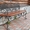 Кованая мебель в Алматы. Кованые ворота, заборы, беседки, решётки. - Изображение #1, Объявление #1458126