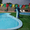 Фонтан для бассейна в форме дельфина  - Изображение #4, Объявление #1450424