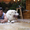 Большая горная пиренейская собака - Изображение #4, Объявление #1454775
