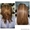 Кератиновое выпрямление и восстановление волос #1490605