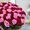 Букет из  101 розы розового и красного цвета 50 см #1191427