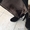 продам зимние черные замшевые  сапоги  Италия   - Изображение #2, Объявление #1503456
