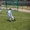 Школа футбола для детей в Алматы и Астане - "Фабрика Футбола" - Изображение #4, Объявление #1318958