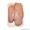 Куры, Тушка ЦБ, мясо куриное, разделка (окорочка, филе, крыло, кожа) оптом - Изображение #2, Объявление #1533164