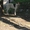Собачка Найда из приюта "Хвостатый Рай" - Изображение #3, Объявление #1576211