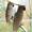 Продам попугаев и певчих птиц - Изображение #6, Объявление #1075111