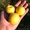 Персики крупномеры плодоносящие деревья Алматы 20000 тг. - Изображение #9, Объявление #1555342