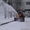 Снегоочиститель тракторный СТ-1500 к МТЗ-320 - Изображение #4, Объявление #1588243