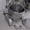 БУ: Миксер планетарный Gastrorag B20K-HD - Изображение #4, Объявление #1598319