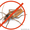 Уничтожение тараканов Алматы