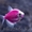 флуаресцентные светящиеся рыбки(каждая 10 бесплатно)  - Изображение #4, Объявление #1605321