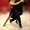 Аргентинское танго - Изображение #5, Объявление #1606686