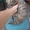 Котятки в добрые руки - Изображение #3, Объявление #1627341