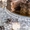 Торты мороженое на заказ в г. Алматы от GELATO TUTTO BENE! - Изображение #5, Объявление #1628751