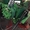 Пескоразбрасыватель прицепной тракторный ППР-3 - Изображение #4, Объявление #1640621