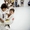 Занятия бразильскому джиу-джитсу для детей и взрослых - Изображение #5, Объявление #1648780