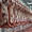 Мясо говядины, Куриное, в ассортименте - Изображение #2, Объявление #1652613
