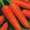 Семена сортовой моркови Курода Новая #1652628