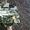 двигатель на Nissan Patrol Y60,  Y61 - авторазбор #1681724