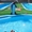 Фонтан для бассейна в форме дельфина  - Изображение #7, Объявление #1450424