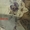 Химчистка ковров Алматы по выгодной цене - Изображение #6, Объявление #1718817