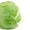Айсберг салатный лист Капуста  - Изображение #3, Объявление #1724413