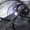 Роторный калибратор для грецкого ореха (500 кг/ч) - Изображение #3, Объявление #1726200