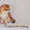 британские золотые котята алматы - Изображение #2, Объявление #1737195