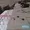 Ремонт кровли Балконного козырька в Алматы - Изображение #3, Объявление #898131