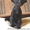 Ориентальные и сиамские котята - Изображение #3, Объявление #285681