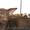 Ориентальные и сиамские котята - Изображение #1, Объявление #285681