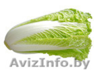 Салат из Испании - Изображение #1, Объявление #1328768