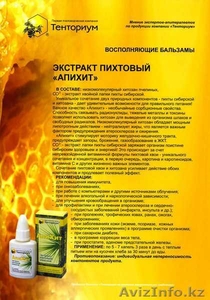 Будь здоров с продуктами пчелаводства Компания Тенториум - Изображение #2, Объявление #39252