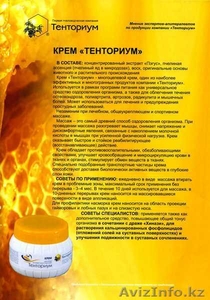 Будь здоров с продуктами пчелаводства Компания Тенториум - Изображение #3, Объявление #39252