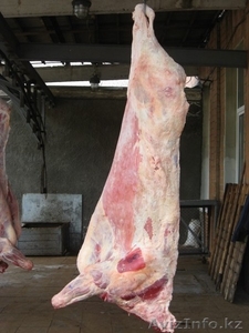 Мясо (говядина, свинина) оптом - Изображение #1, Объявление #86967