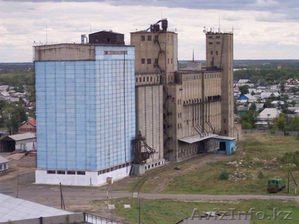 Комбикормовой завод и комбинат хлебопродуктов в Кулундинском районе - Изображение #1, Объявление #96723