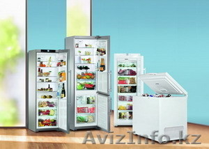 холодильники, морозильные камеры, винотеки и сигарные шкафы Liebherr, Германия - Изображение #1, Объявление #177076