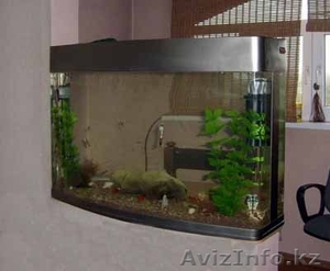  аквариумы на заказ - Изображение #1, Объявление #157260