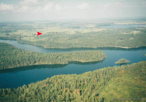 Уникальный участок на берегу озера  Асвея - Изображение #3, Объявление #180495