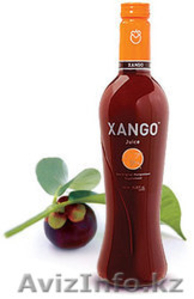 XANGO-мангустиновый сок - Изображение #2, Объявление #207219