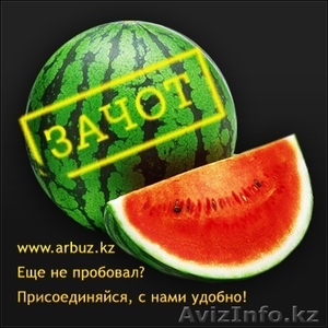 www.arbuz.kz   Интернет - магазин в Алматы по доставке продуктов питания на дом - Изображение #2, Объявление #240884