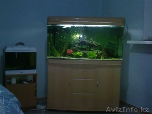 продам аквариум - Изображение #1, Объявление #217736