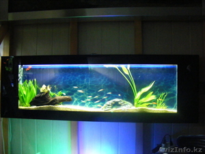 аквариумы без подмены воды - Изображение #1, Объявление #261454